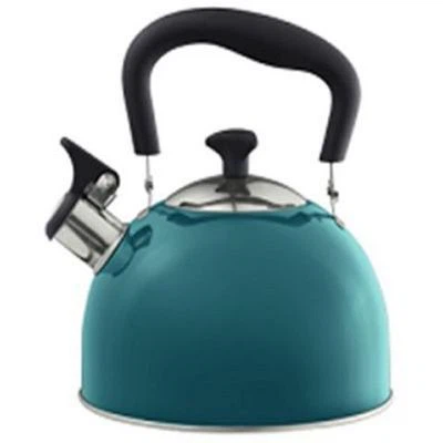 What is the best stainless steel kettle brand?